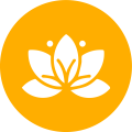 about-icon1
